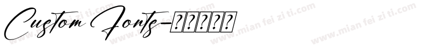 Custom Fonts字体转换